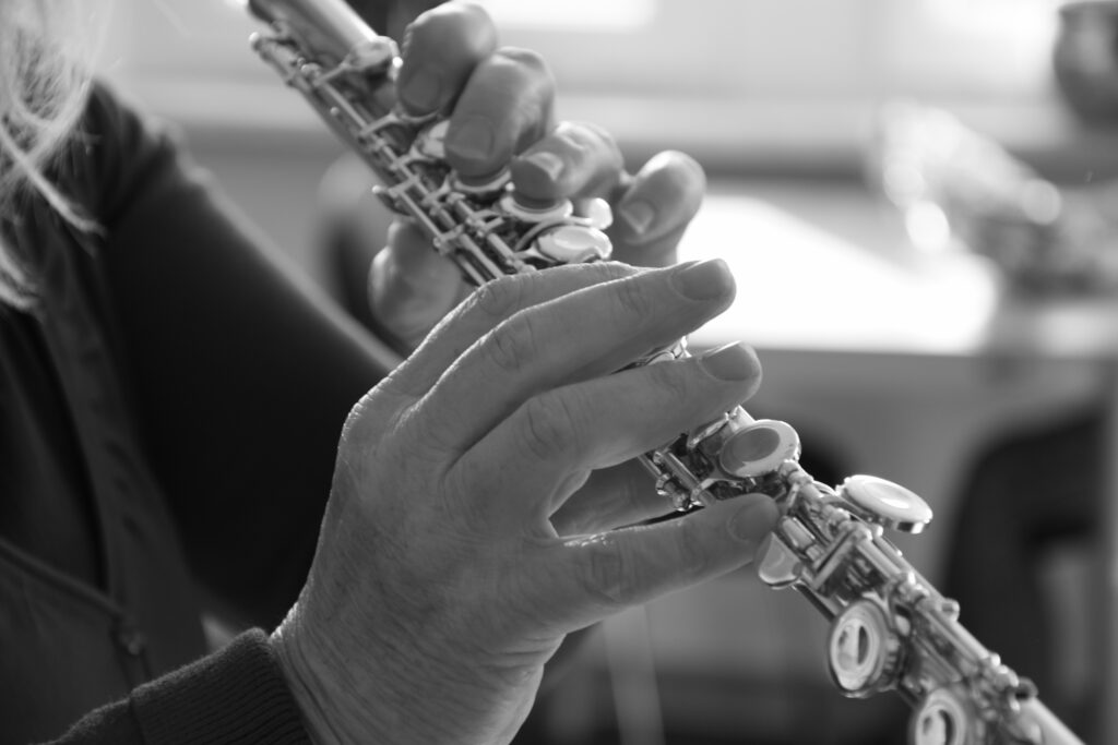 anjasteuerliese musical instrument 7244707